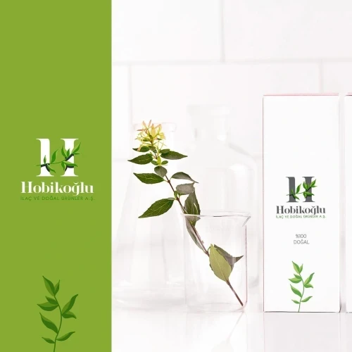 Hobikoğlu Logo ve Kurumsal Kimlik Tasarımı