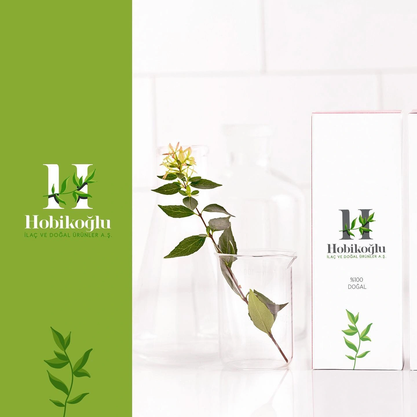 Hobikoğlu Logo and Corporate Identity Design - Desktop Görünüm 