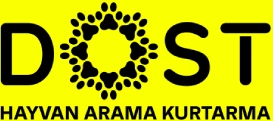 Dost Arama Kurtarma